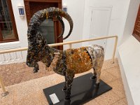 Naher Osten 2025 - 103